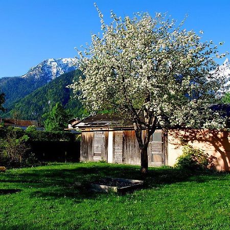Haus Stainer Lägenhet Lofer Exteriör bild