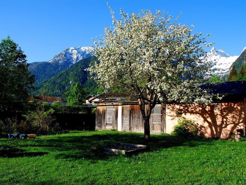 Haus Stainer Lägenhet Lofer Exteriör bild